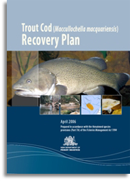 Trout cod recovery plan cover page