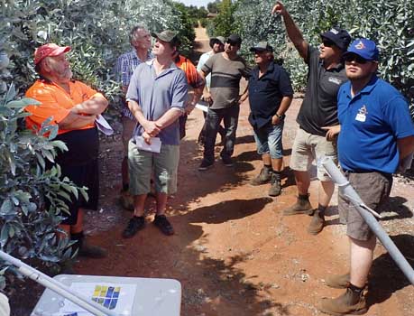 Matt McWilliams (Interlink) discusses the Surround® kaolin clay treated trees at the Sunraysia workshop.
