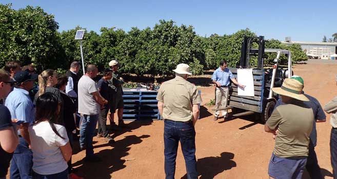 Steven Falivene (NSW DPI) discussing the core principles of pruning Steven Falivene (NSW DPI) discussing the core principles of pruning
