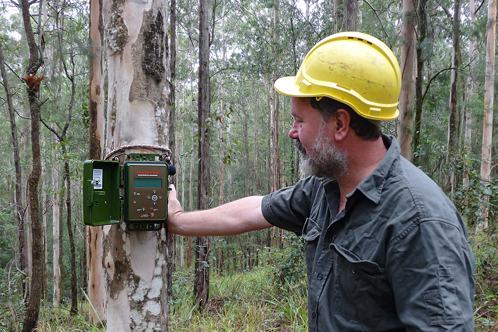 Brad Law inspects the technology that is fastened to a tree