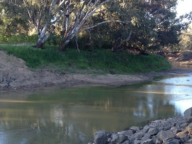 Weeta Weir After Removal
