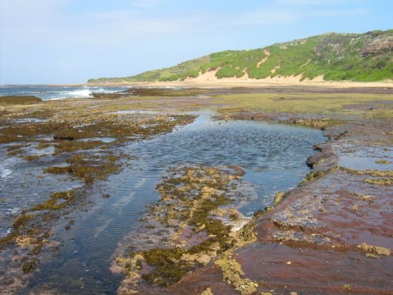 image of a rock pool