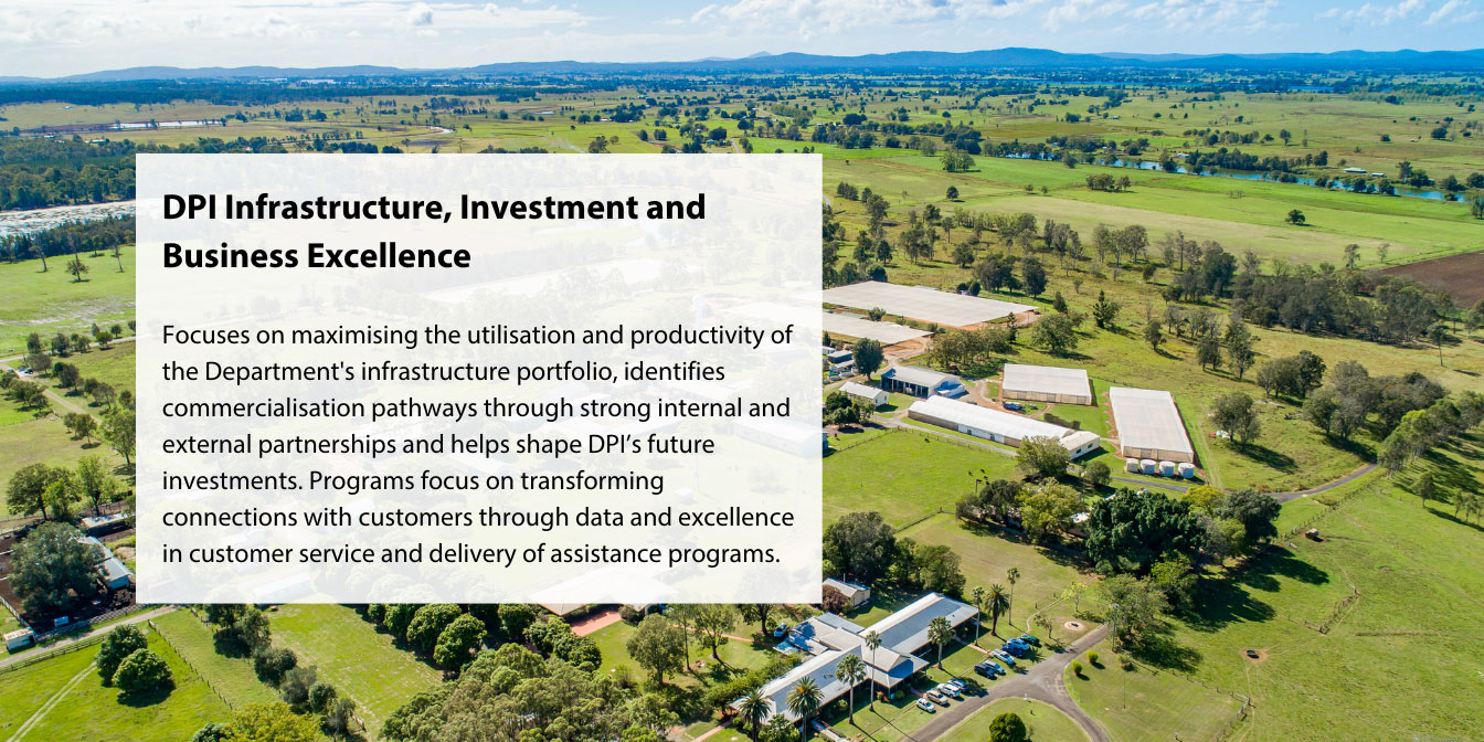 DPI Infrastructure, Investment & Business Development