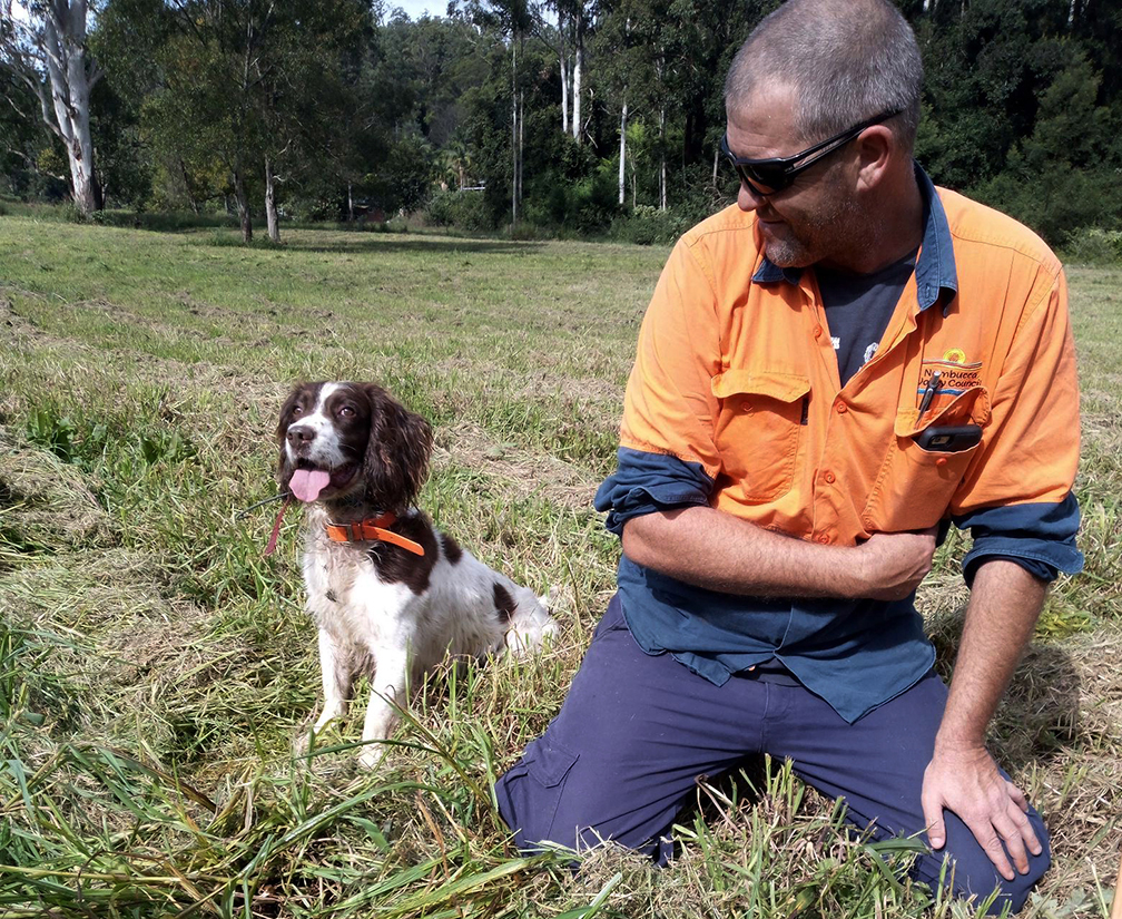 Parthenium detection dog, Conner with handler, Peter Fox near Bowraville NSW