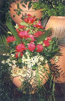 Native flowers in pot