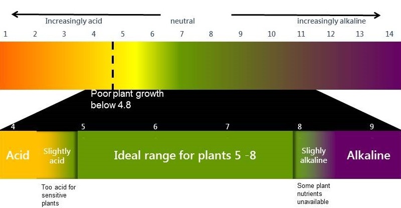 pH scale on LHS acid in orange through green for neutral to purple for alkaline on RHS