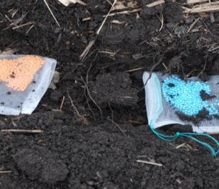 closeup of soil with different Urea froms in gauze bags