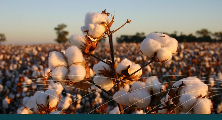 Agtech Training - Cotton Growers