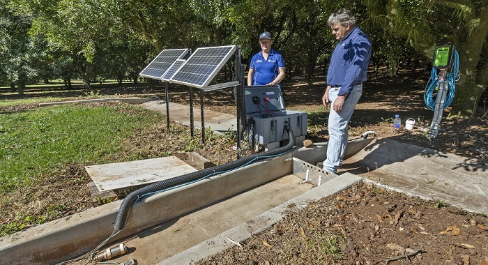 two people next to small solar panels and concrete drain with monitoring equipment and macadamia trees 
