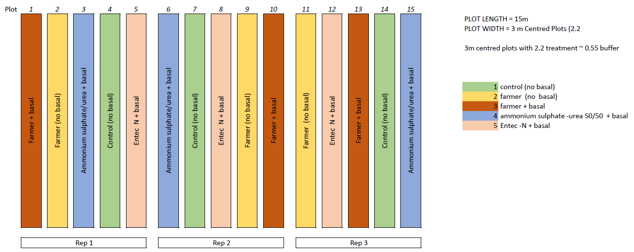 The diagram shows fifteen long oblongs representing the fifteen pasture strips that are part of the nutrient management trial, divided into five different coloured strips for each of three trial groupings (labelled as Rep 1, Rep 2, and Rep 3. Colour coding indicates the treatment being trialled in each strip, with 3 dark brown strips denoting the ‘farmer + basal’ treatment, 3 yellow strips denoting ‘farmer (no basal)’, 3 blue strips denoting ‘Ammonium sulphate - urea 50/50 + basal’, 3 green strips denoting ‘control (no basal), and 3 pink strips denoting ‘Entec-N + basal’.  