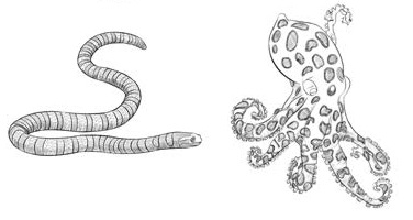 Venomous bites