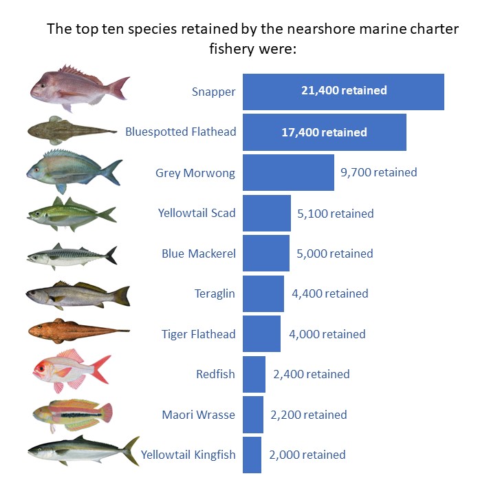 Top 10 species taken by the Nearshore Marine Charter Fishery state-wide (total retained).