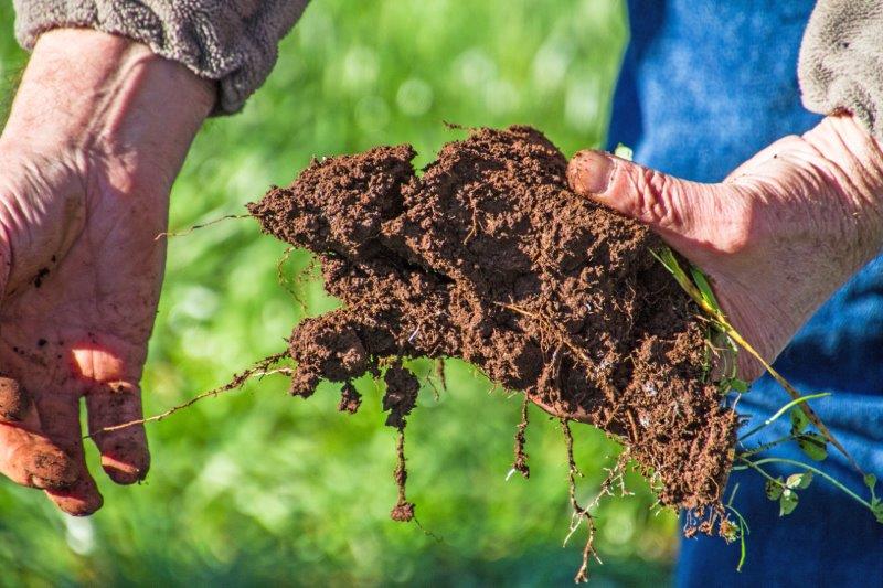 Soil