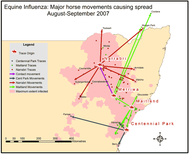Major horse movements during August-September 2007 causing the spread of equine influenza