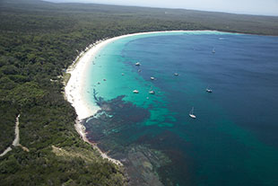 Hare Bay by Jervis Bay Tourism