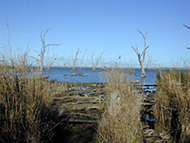 Lake Mulwala