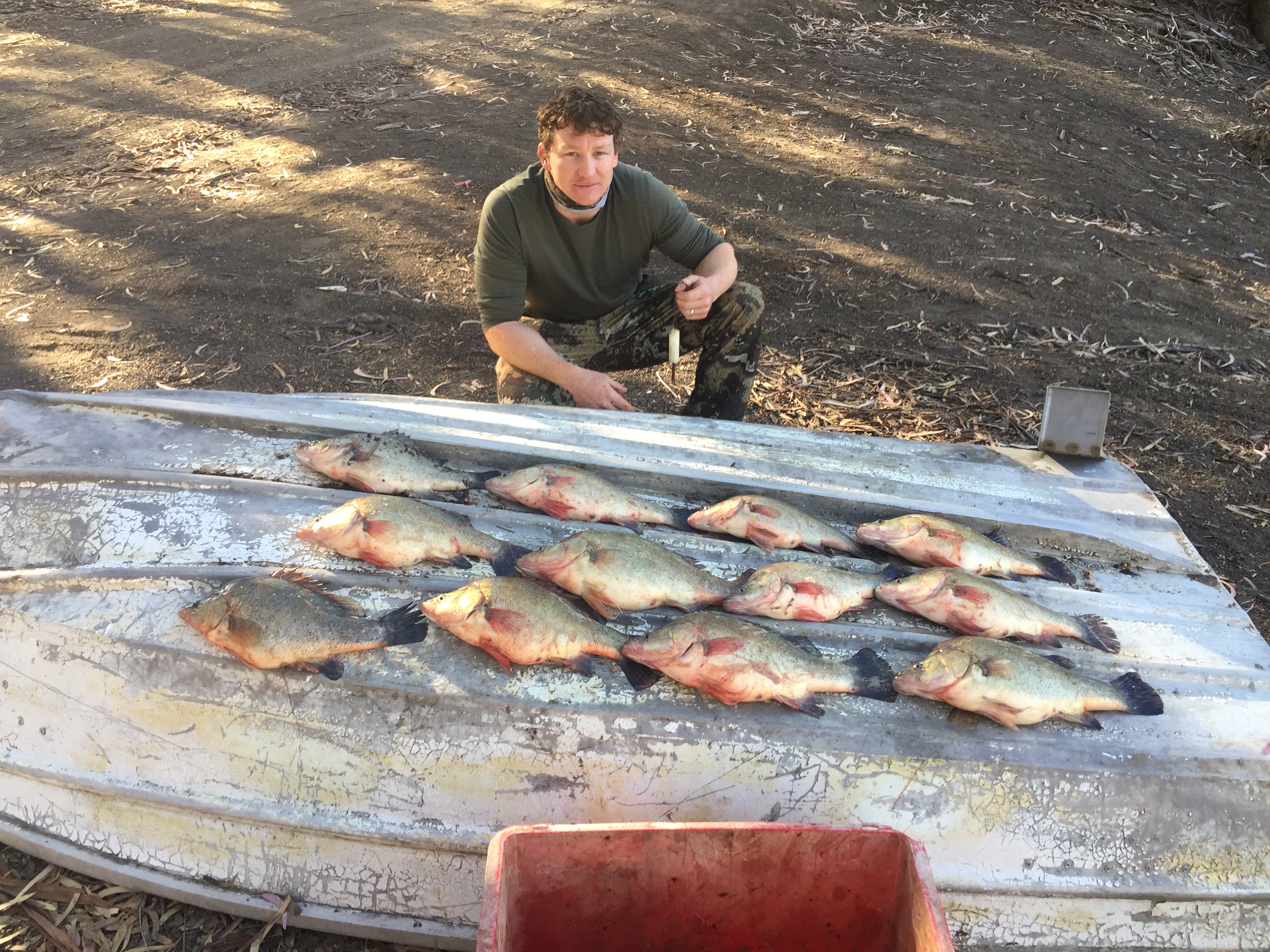 3.5m boat seized with 12 golden perch