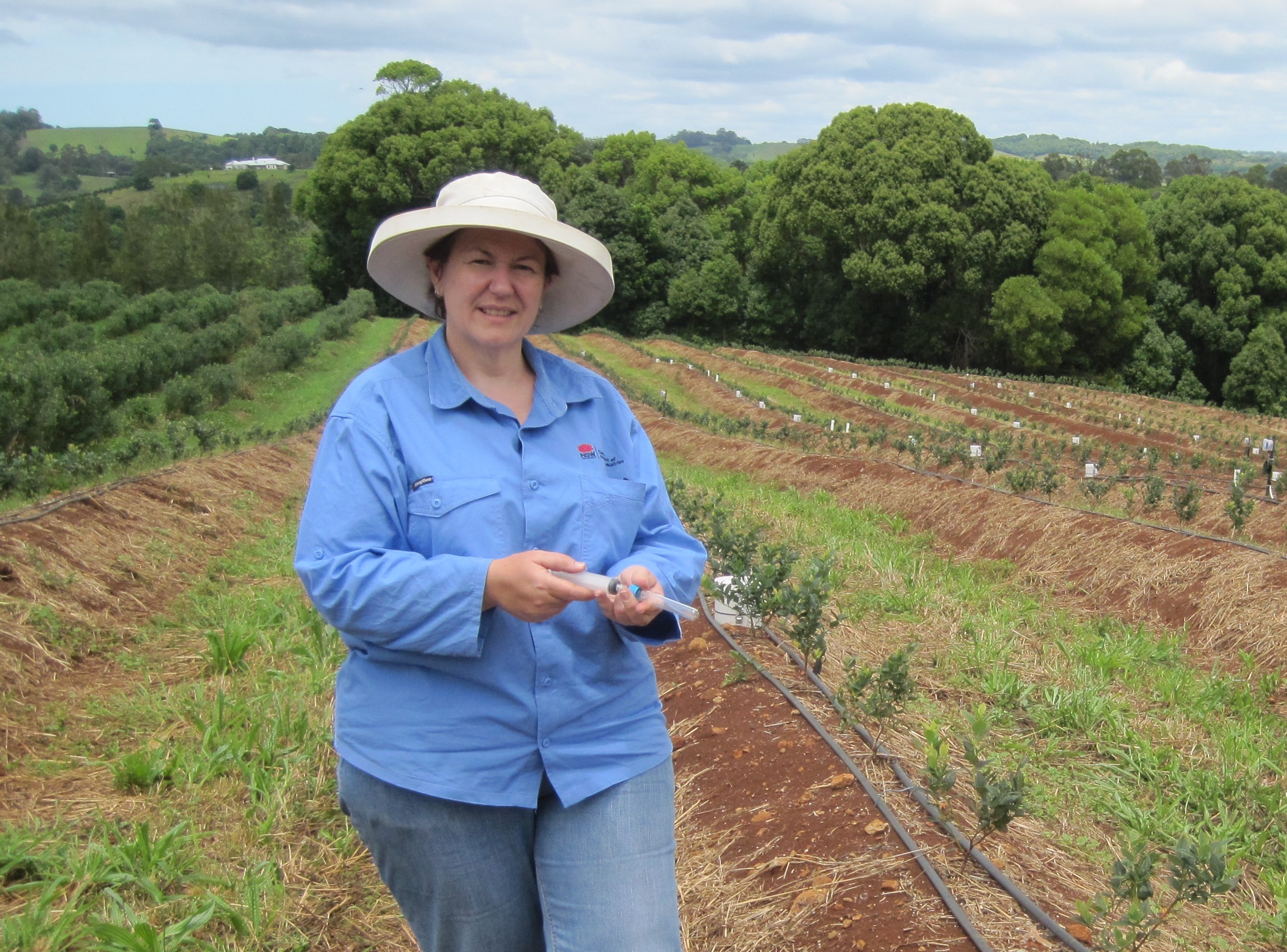 Justine Cox stands in field of young blueberry plants in long mounds