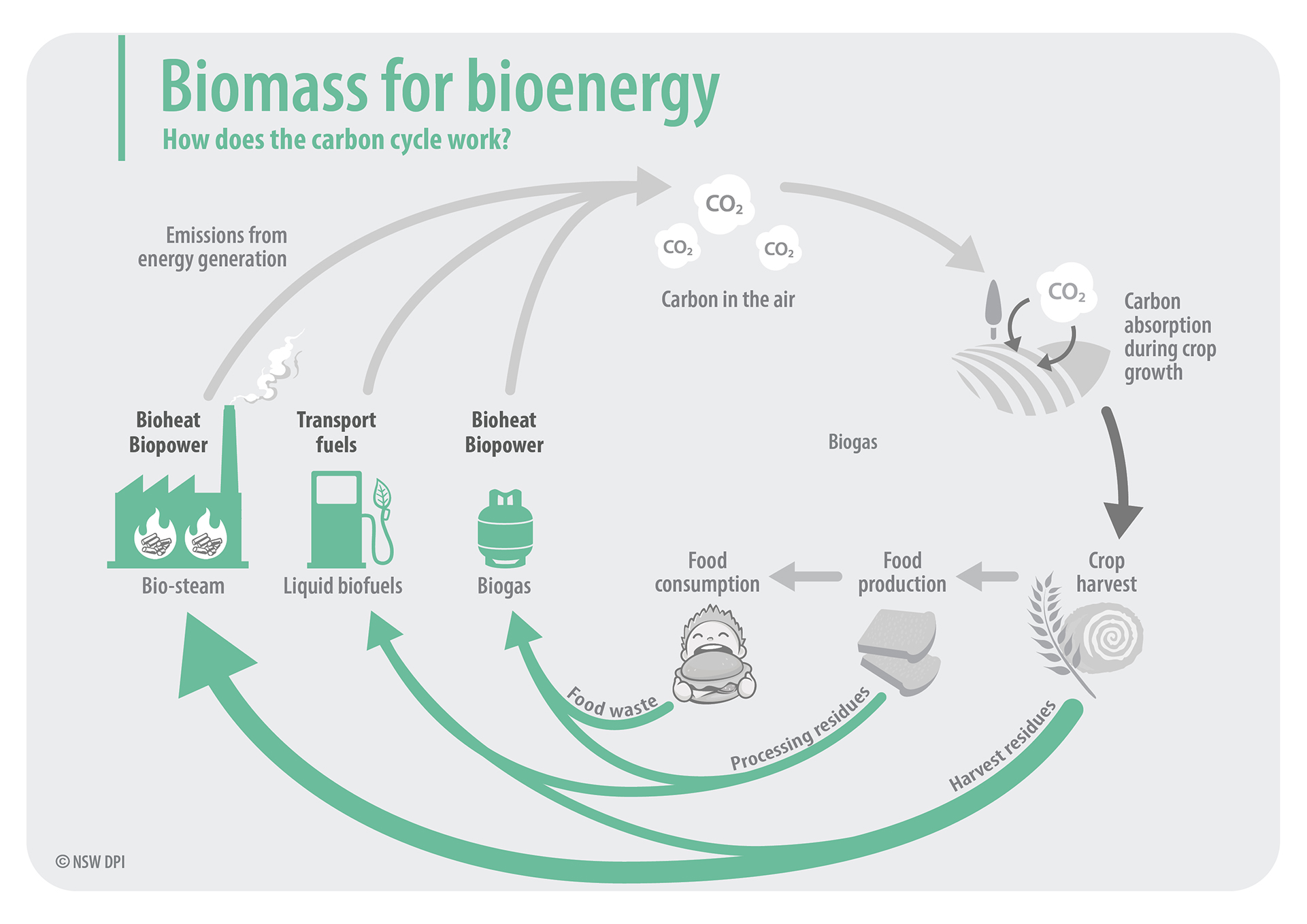 Infographic of biomass for bioenergy - How does the carbon cycle work? - agricultural example. This document is not fully accessible, please contact fabiano.ximenes@dpi.nsw.gov.au for more information.