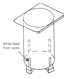 A standard poultry hopper is suitable for pheasants