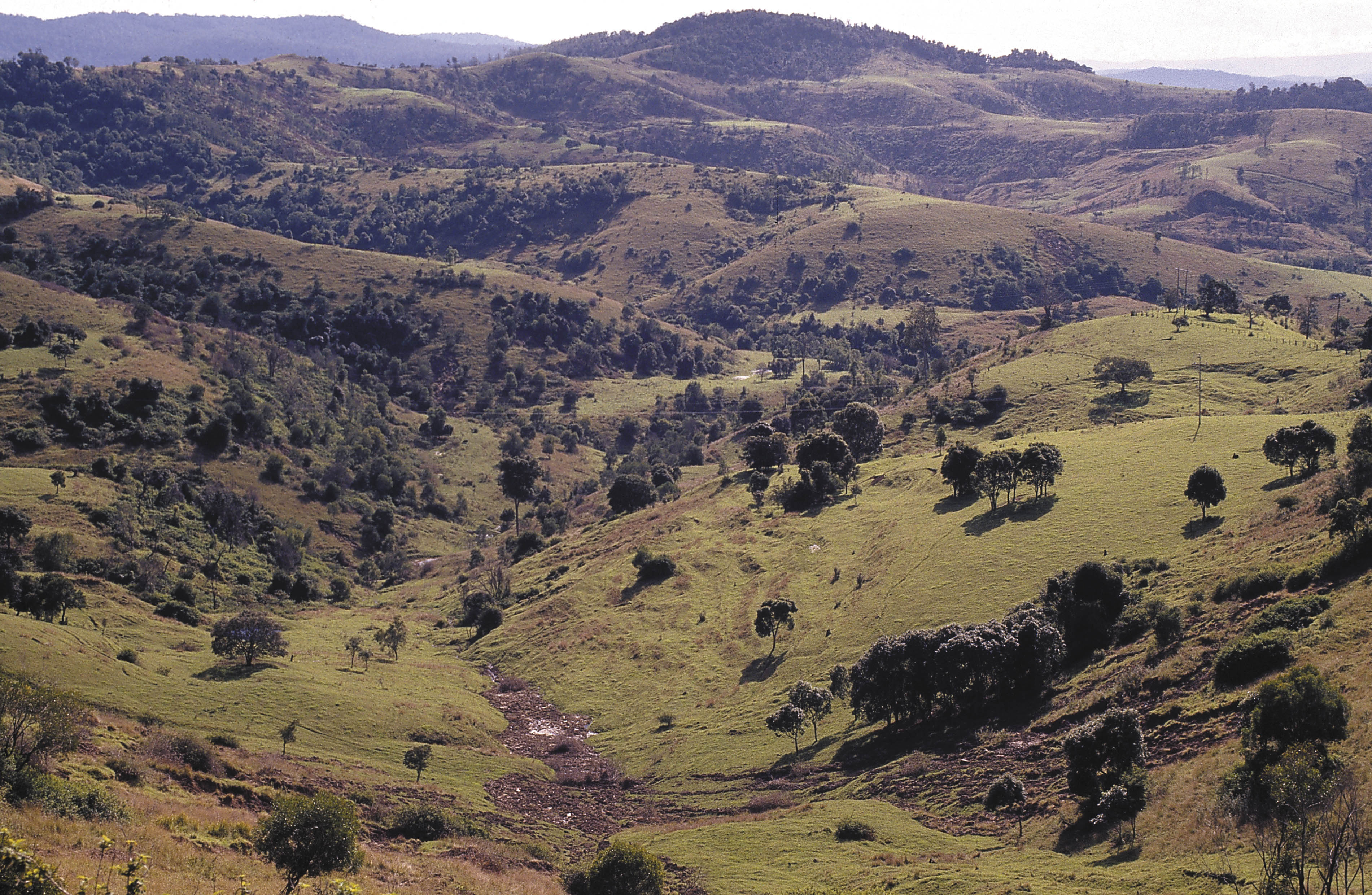 Hilly grazing country