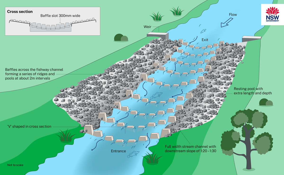 Diagram showing how a full width rock ramp could be constructed