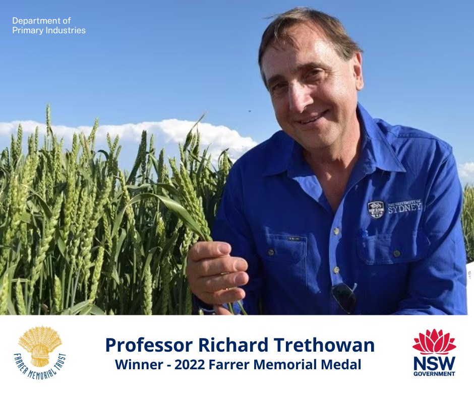 Prof Richard Trethowan in Wheat Field