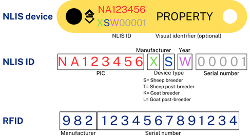 Example of a yellow sheep ear tag printed with a National Livestock Identification System (NLIS) ID number. The NLIS ID and RFID numbers are defined.