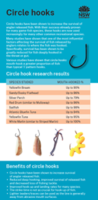 Circle hooks
