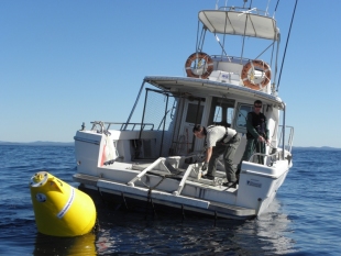 Fisheries patrol vessel and a Fish Attraction Device (FAD)