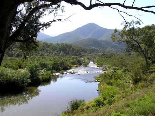 The Snowy River. Photo: Danny Henderson