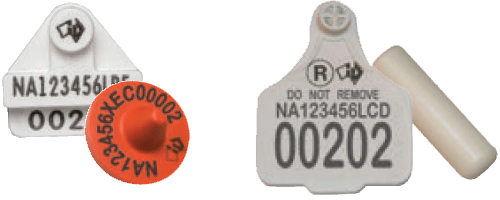 2 of the common ear tags are displayed - one is grey with black writing while the other is red with black writing