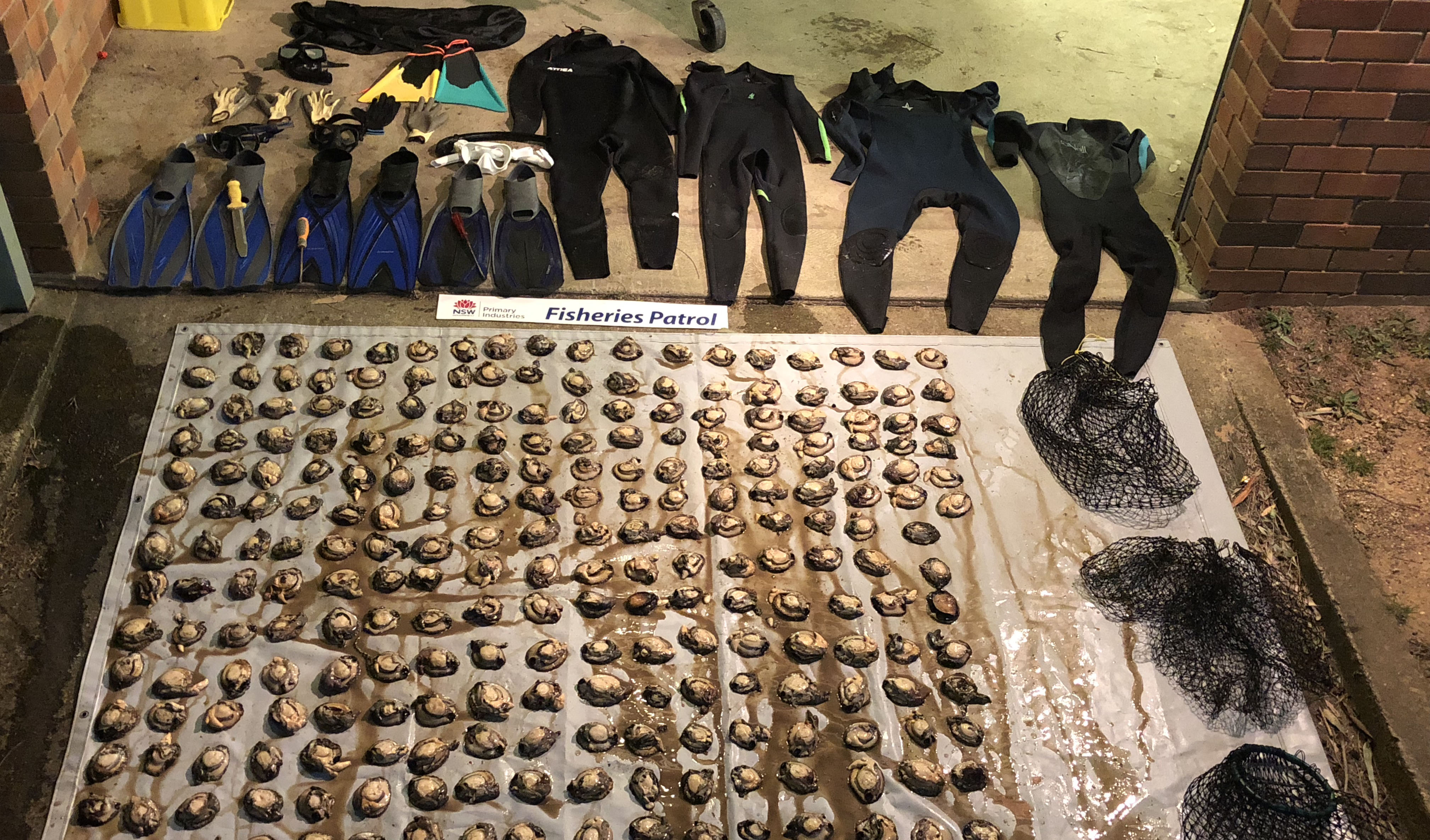 seized abalone and diving gear at  Shell Point near Ulladulla NSW