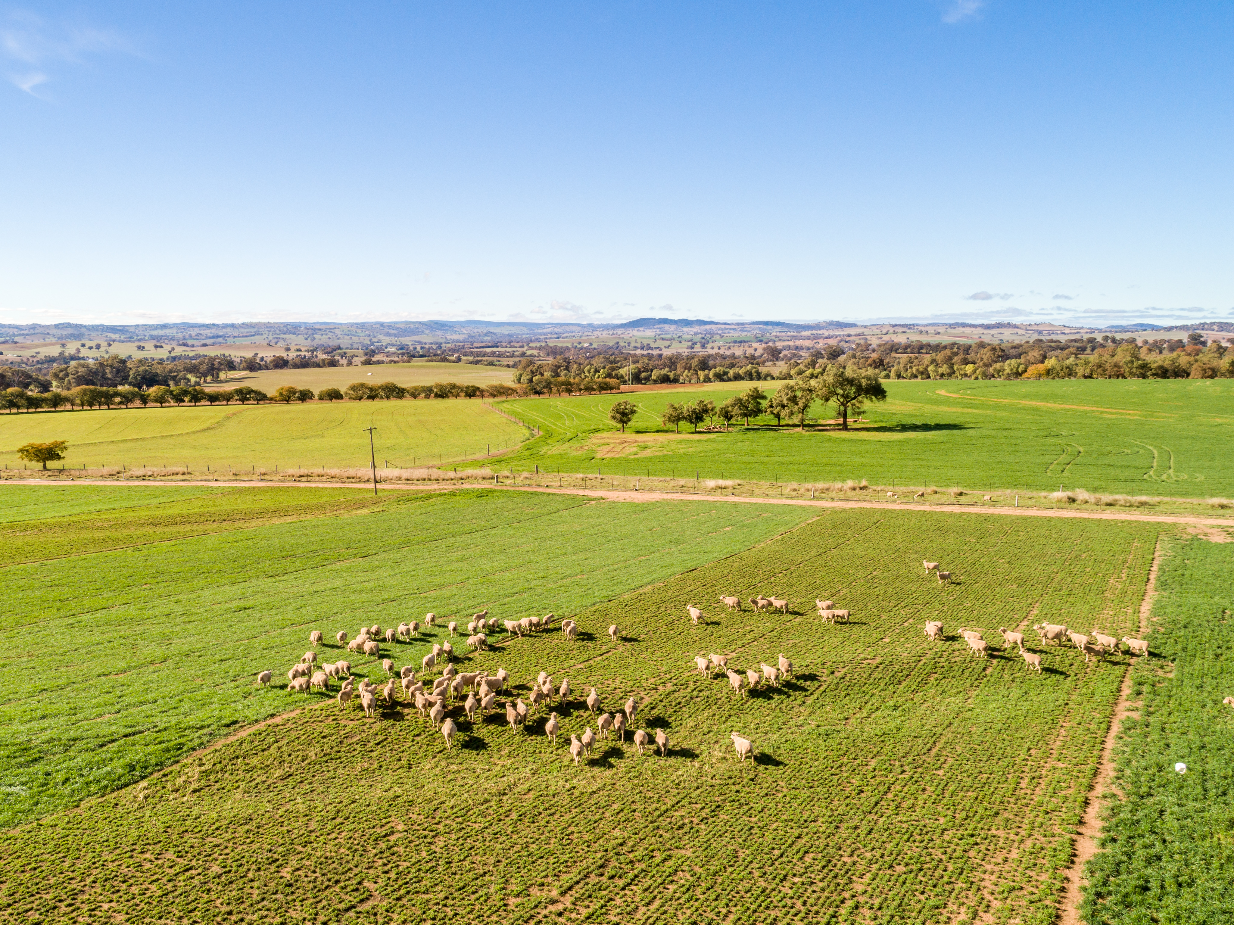 Aerial image at Cowra Agricultural Research and Advisory Station 