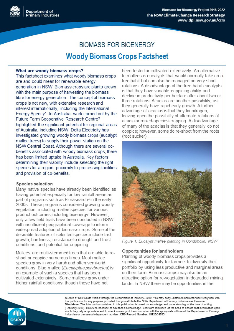 Woody Biomass Crops Factsheet