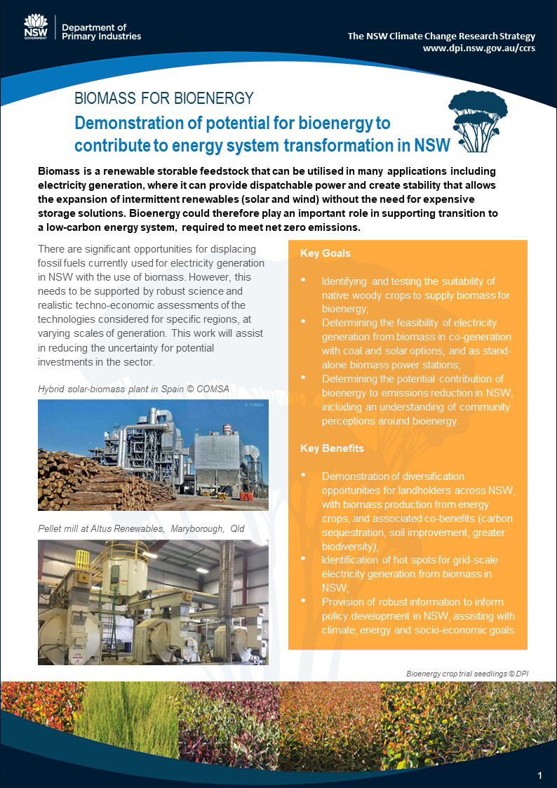 Demonstration of potential for bioenergy to contribute to energy system transformation in NSW - Project Outline Factsheet