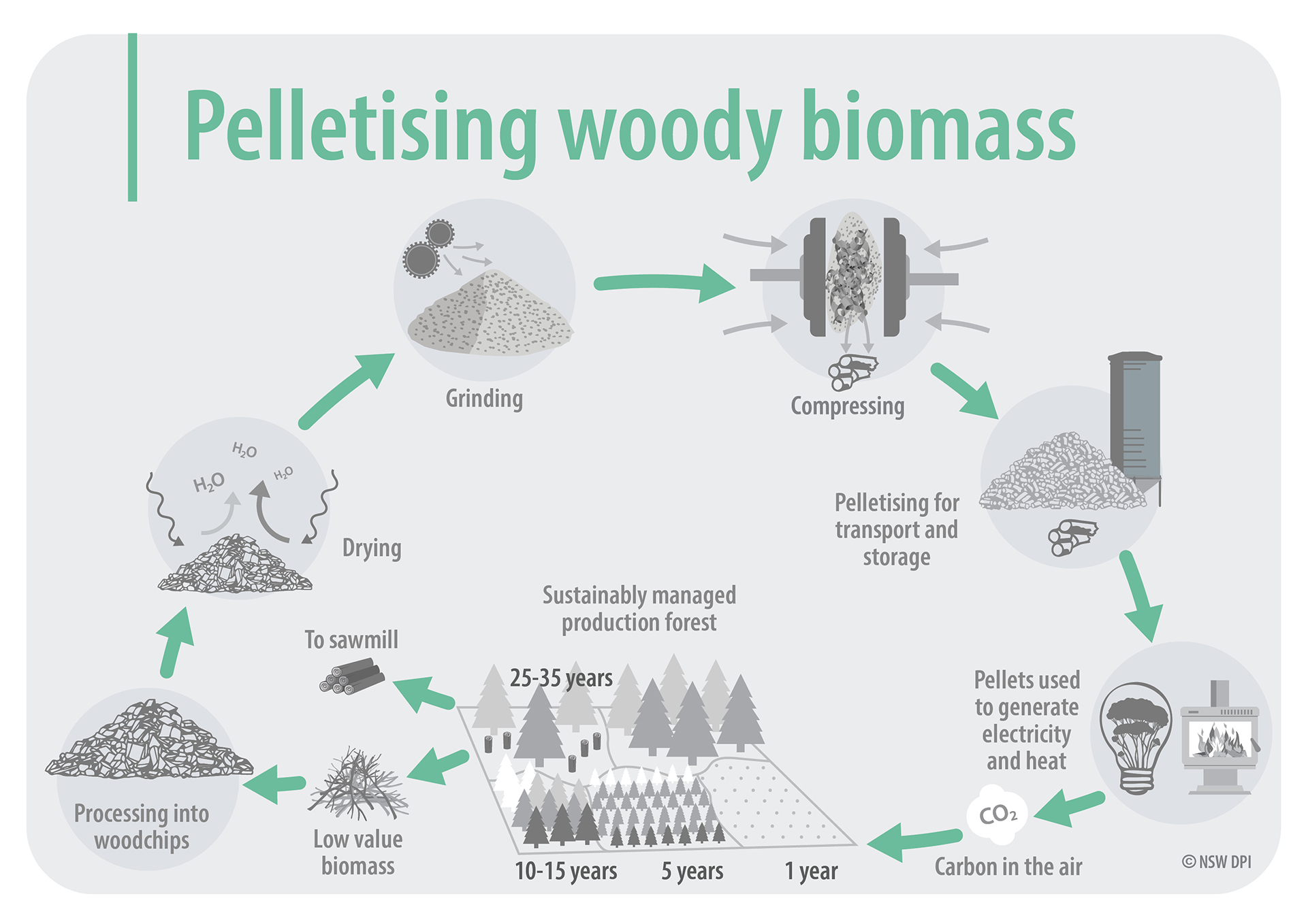Infographic of pelletising woody biomass. This document is not fully accessible, please contact fabiano.ximenes@dpi.nsw.gov.au for more information.