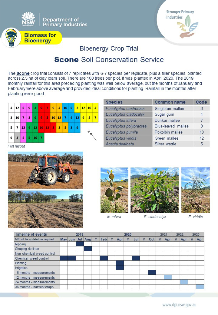 Scone Crop Trial Factsheet