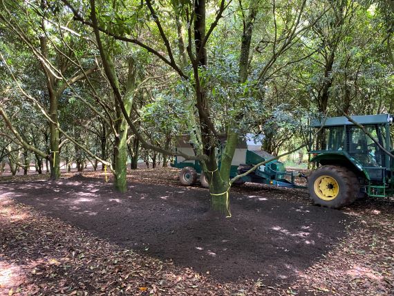 Compost spread by side delivery belt spreader