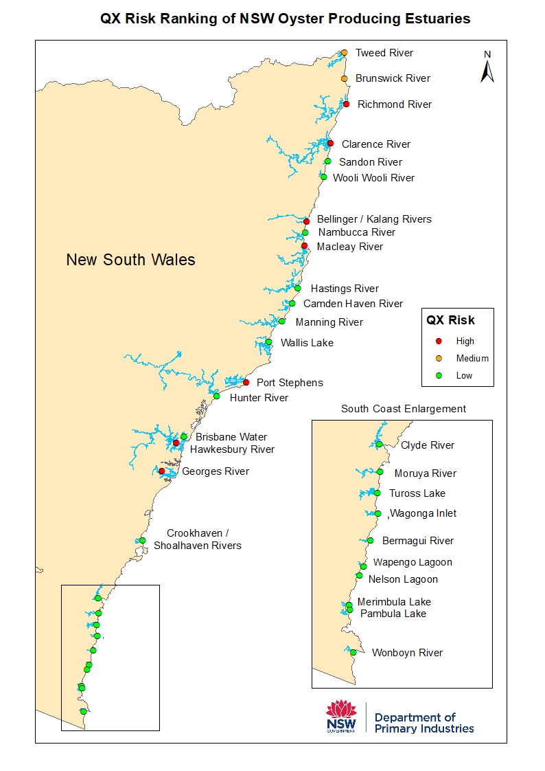Map of NSW coastline with high, medium and low risk ratings marked for all oyster producing estuaries. 