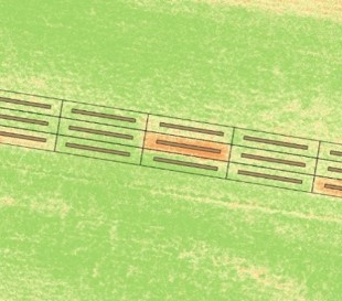 Multispectral aerial image showing N uptake on trial plots