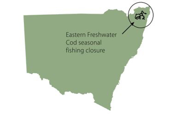 EFC Closure NSW