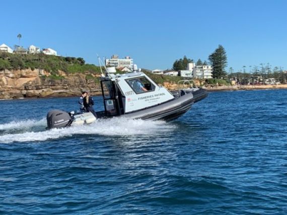 Fisheries patrol vessel off Sydney and the Northern Beaches