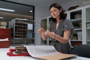 Weed Botanist Dr Patricia Lu-Irving of Botanic Gardens of Sydney in the National Herbarium of New South Wales looking at a plant specimen
