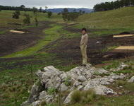 Using recycled organics has assisted in rehabilitating a degraded gully near Bungonia