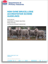 Cover image of the document: Ovine brucellosis accreditation scheme guidelines