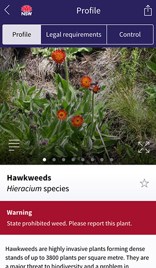 NSW WeedWise App profile page