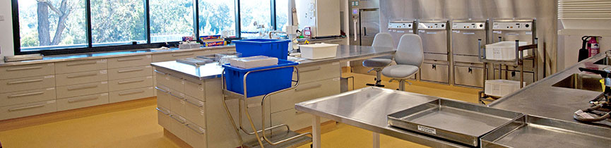Virology lab at Elizabeth Macarthur Agricultural Institute