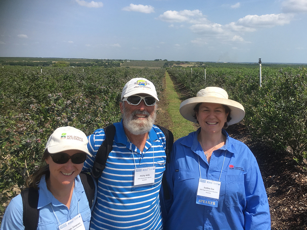 Three development officers standing in a blueberry filed