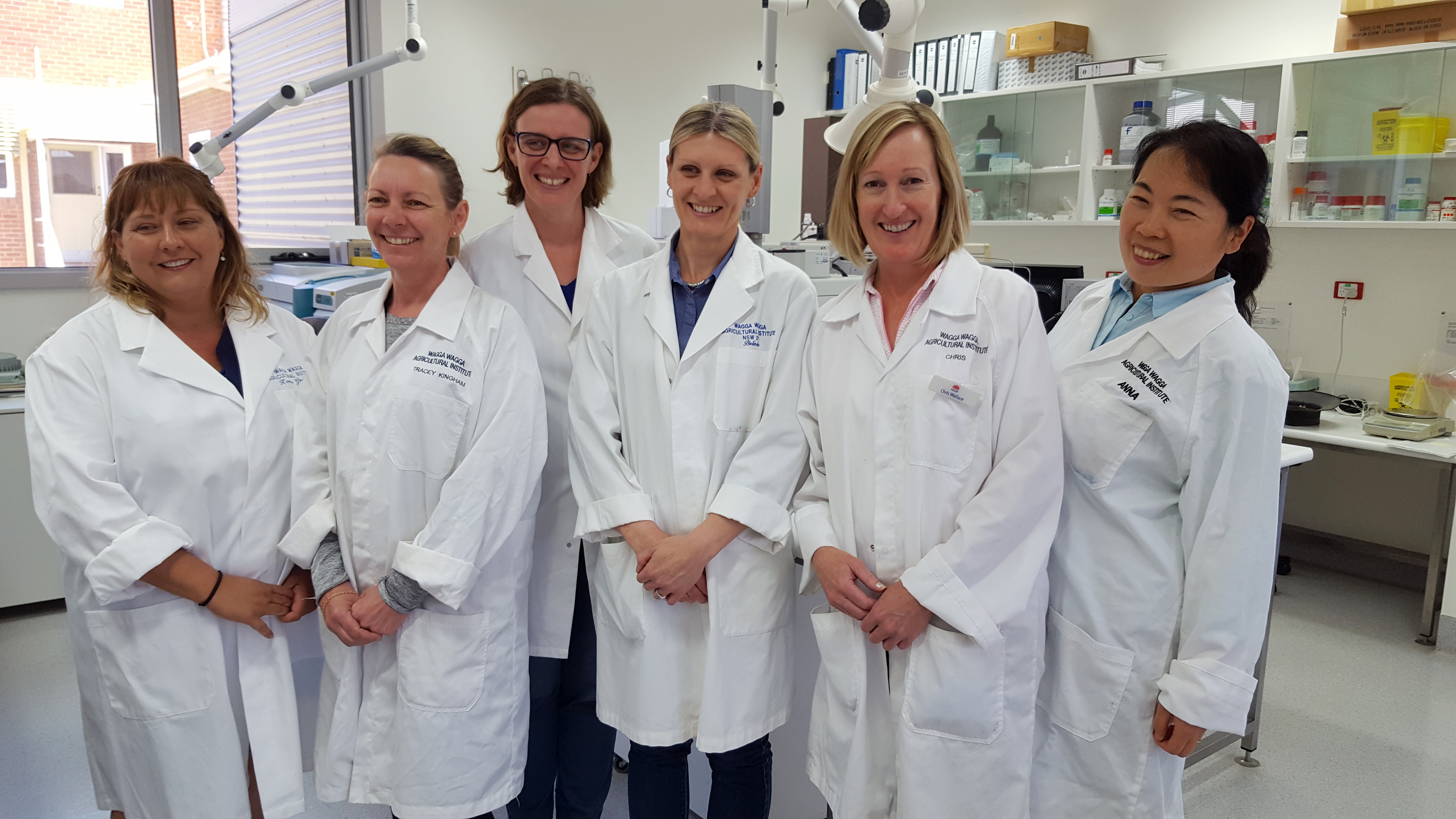 NSW DPI olive oil testing team in the lab
